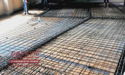 学校建筑物结构补强与抗震加固2024工程特辑 房屋修缮新篇章